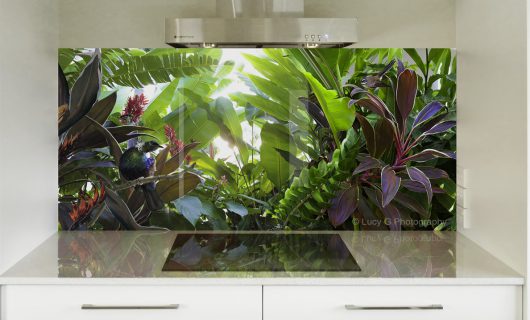 Beautiful Splash Back