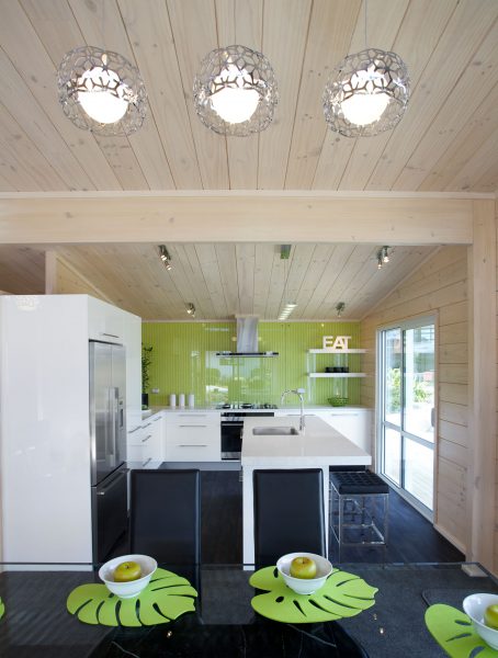 Te Rakau Home Design image 4